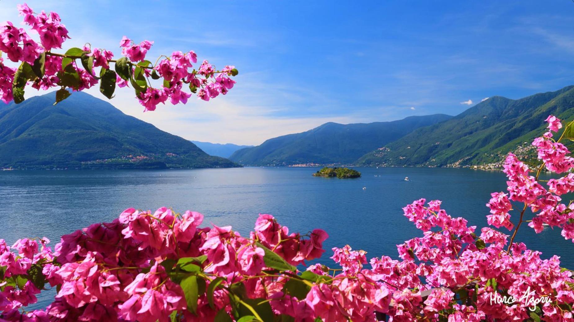 Charme Hotel Al Torchio Ascona Eksteriør billede